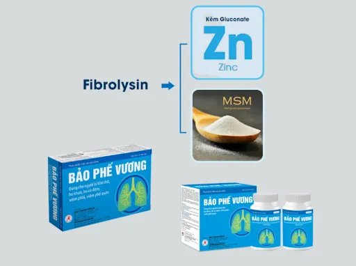 Bảo Phế Vương với thành phần chính là Fbrolysin giúp ngăn chặn quá trình xơ hóa, tái cấu trúc đường thở